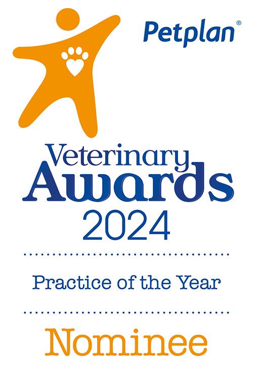 Brookend Vets Practice Of The Year Nomination 2024