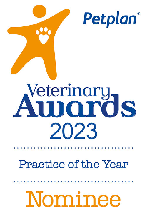 Brookend Vets Practice Of The Year Nomination 2023